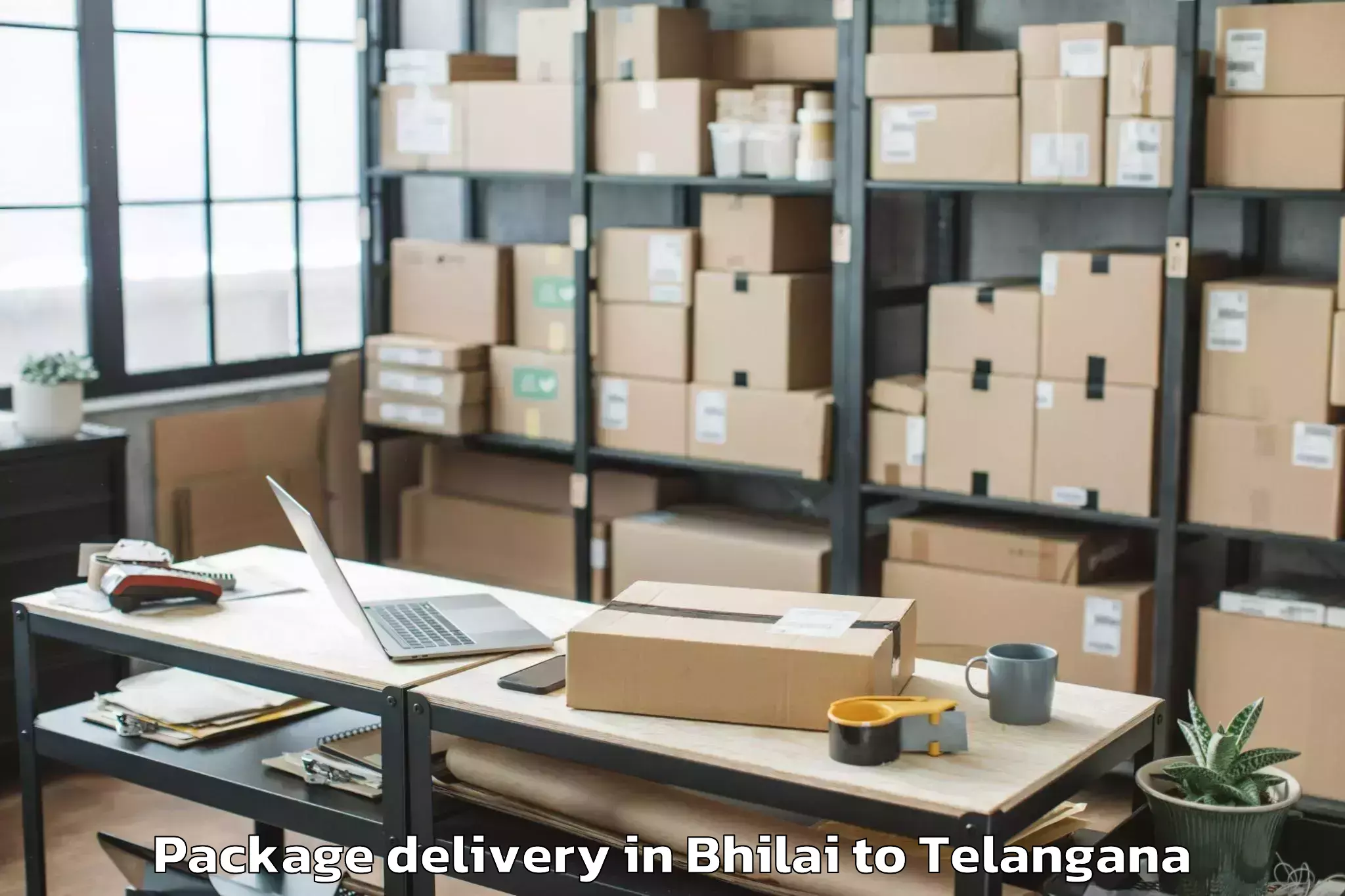 Trusted Bhilai to Palamuru University Mahabubnag Package Delivery